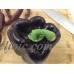 Fake Plastic PURPLE BELL PEPPER Realistic Faux Vegetable Grocery Display Prop   263867860692